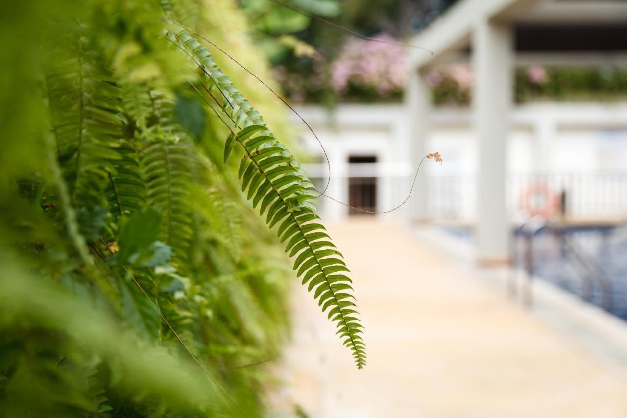 Munting Paraiso Puerto Princesa Εξωτερικό φωτογραφία